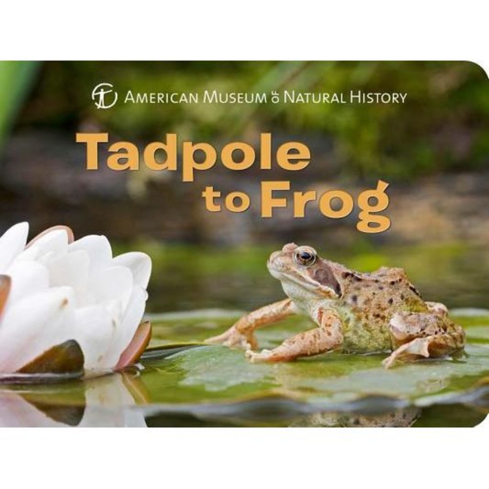 Tadpole to Frog -- American Museum of Natural History